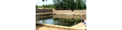 62. திருஇடவெந்தை (திருவடந்தை)